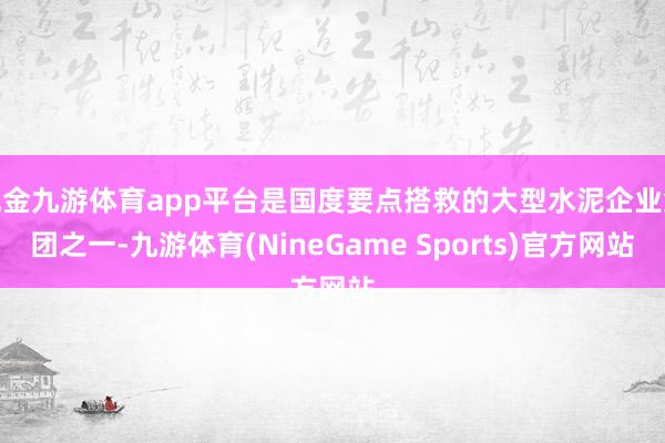 现金九游体育app平台是国度要点搭救的大型水泥企业集团之一-九游体育(NineGame Sports)官方网站