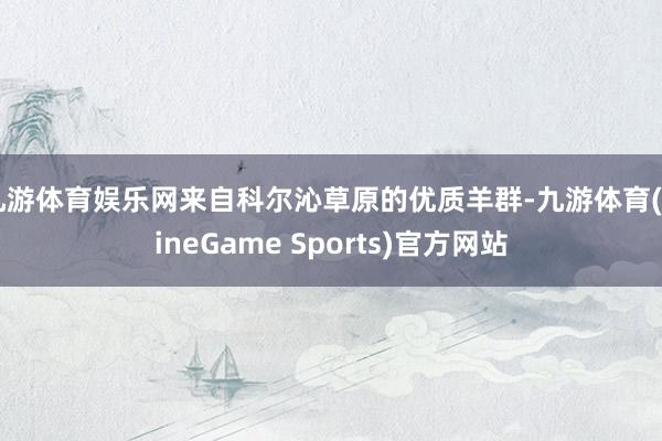 九游体育娱乐网来自科尔沁草原的优质羊群-九游体育(NineGame Sports)官方网站